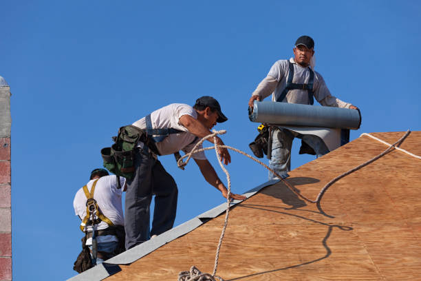 Best Metal Roofing Contractor  in Rock Springs, WY